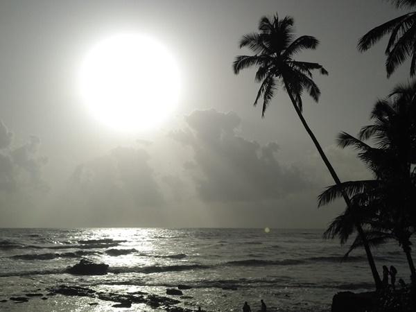 உங்கள் விருப்பம்