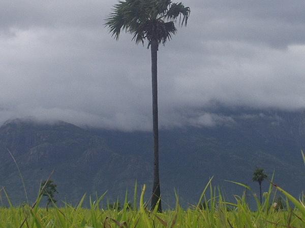கோயம்புத்தூர் - பொள்ளாச்சி