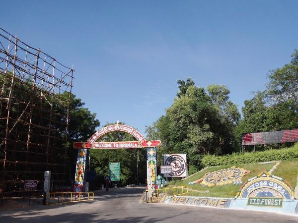 கோடிக்கணக்கில் புதையல்கள்