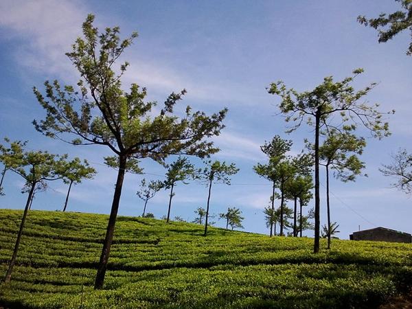 குமுளி