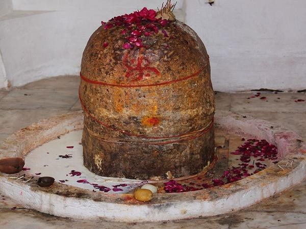 உத்தரமேரூர் திருப்புலிவனம்
