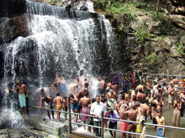 சுருளி அருவி