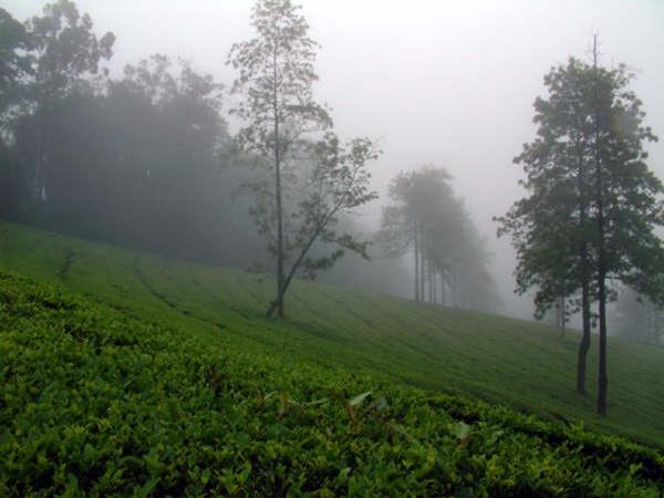 பயணத்தை தொடங்குவோம்