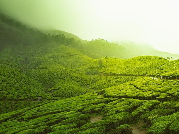 மூணார்