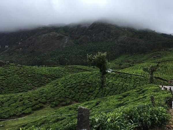 மூணார்