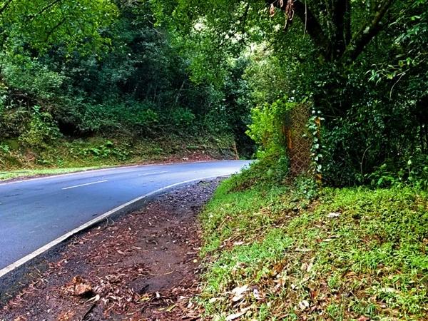 உதகை - மசினகுடி