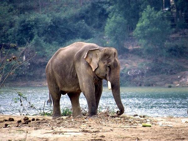 அம்ரிதி விலங்கியல் பூங்கா