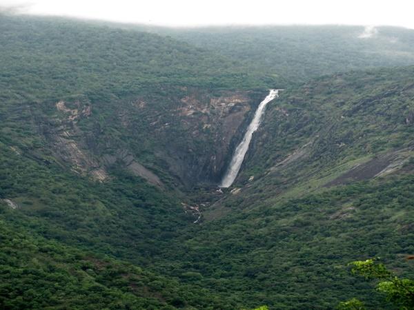 எலிவால் அருவி
