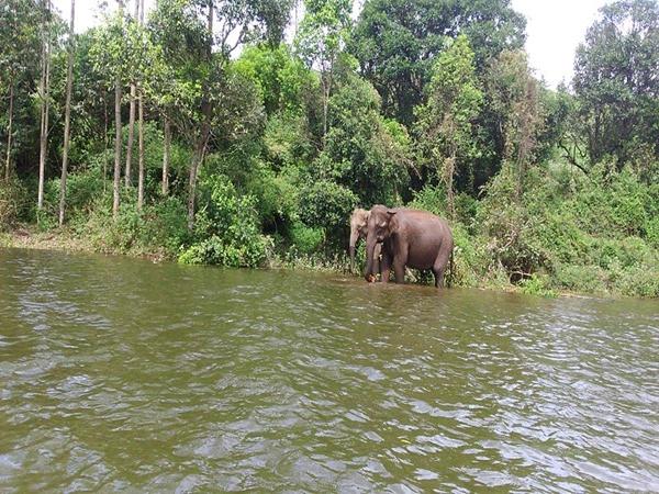 மூணார் சுற்றுலாத் தலங்கள்