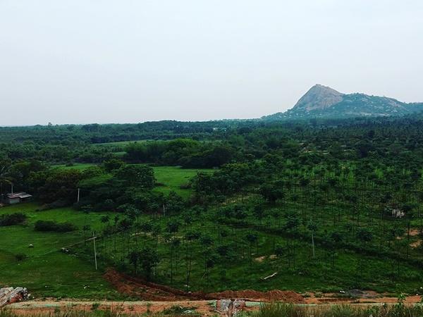 தங்கும் இடங்கள்