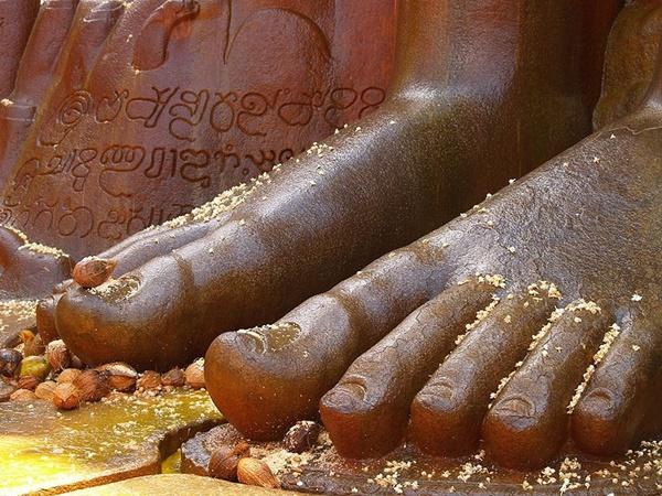 ஹாசன் பற்றிய தகவல்கள்