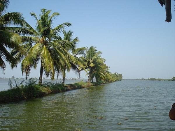 கொச்சி