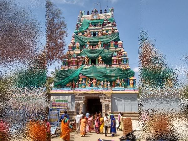 திருமணஞ்சேரி ராகு பகவான், சிம்மம்