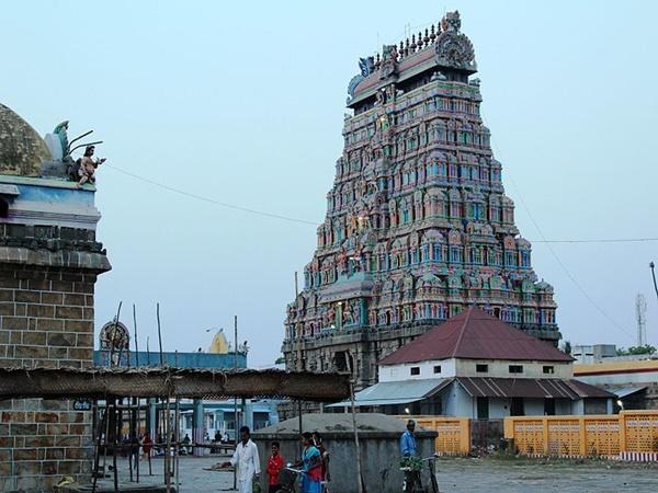 மனித இனத்தின் அருமை சொல்லும் கணக்குகள்