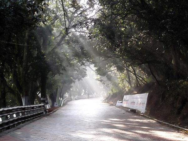 கோத்தகிரி - காந்திபுரம்