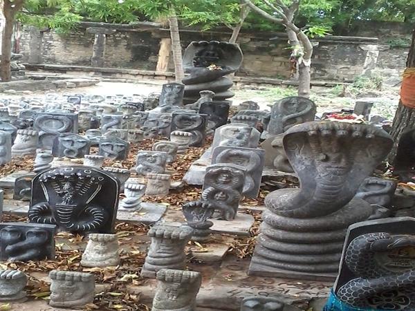நாகபஞ்சமி விரதம்