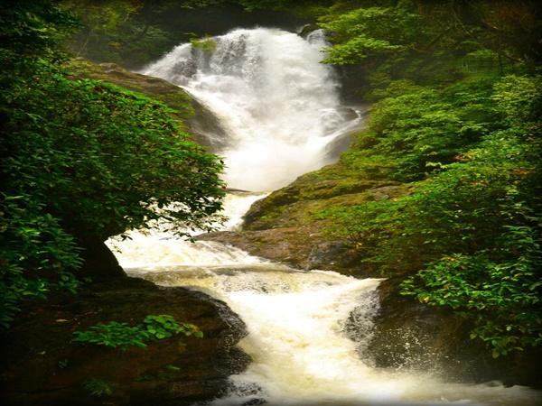 மோகினியாக மாறிய பகவான்