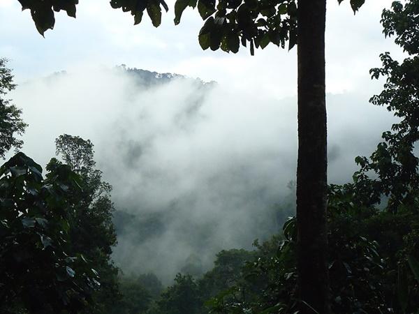 சபரி மலை ஐயப்பன் கோயிலுக்கு புனிதப்பயணம்