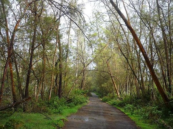 காந்திபுரம் - முள்ளி