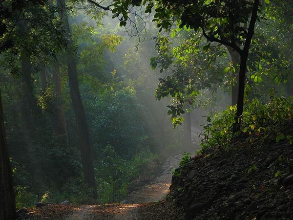 அசோகன் பாறை