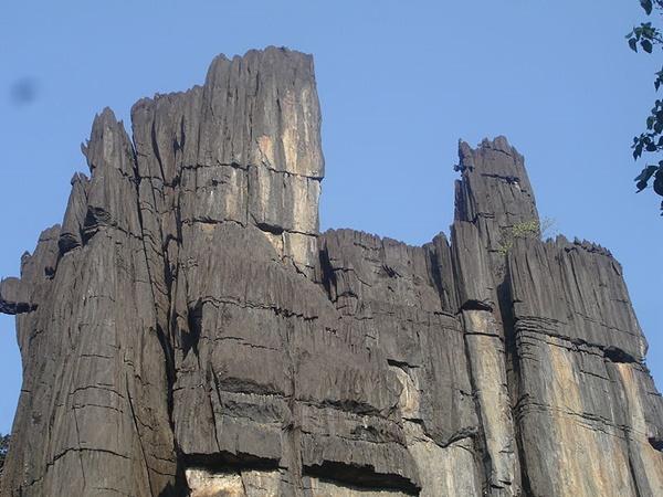 திருவிழாக் கோலம்