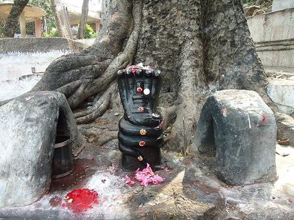 சந்திரமௌலீஸ்வரர் திருக்கோவில்