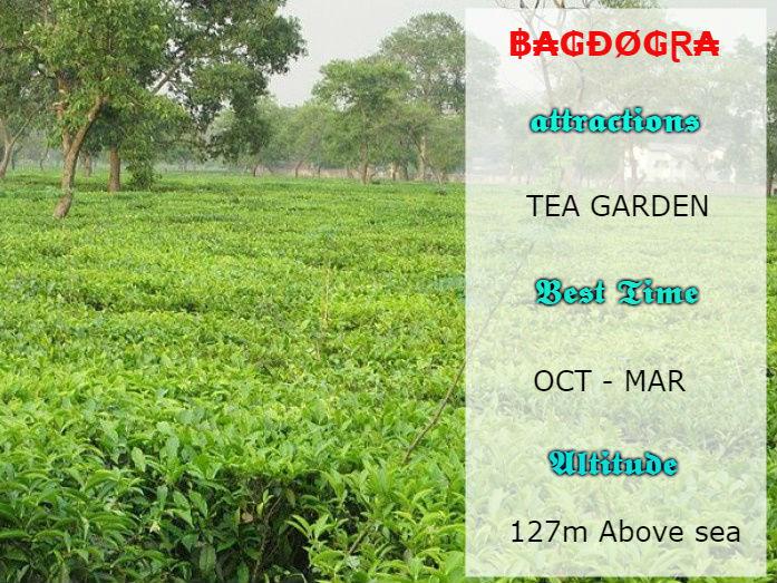 பக்தோக்ரா எனும் அழகிய தேயிலைத் தோட்டம் பக்தோக்ரா எனும் அழகிய தேயிலைத் தோட்டம்