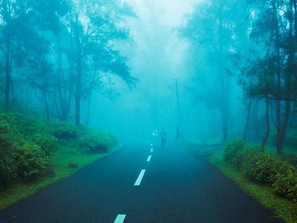 கபே பற்றிய தகவல்கள்