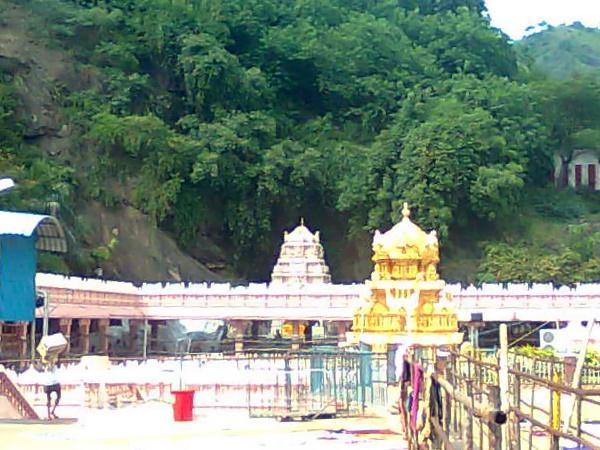 தையல் நாயகி அம்மன் கோயில்