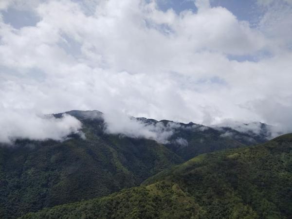 முள்ளி