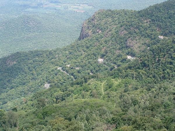 சத்தியமங்கலம் வனப்பகுதி