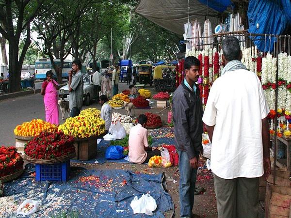 சாராவுடன் சாலைப் பயணம்