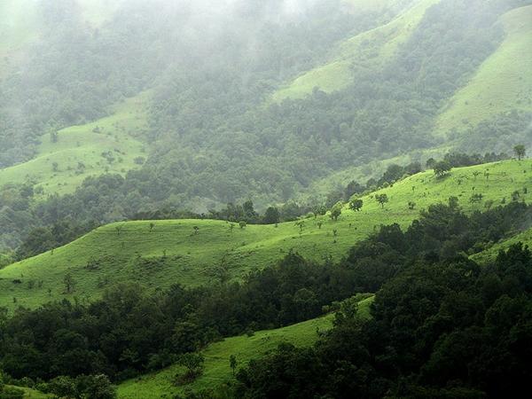 குதுரேமுக்