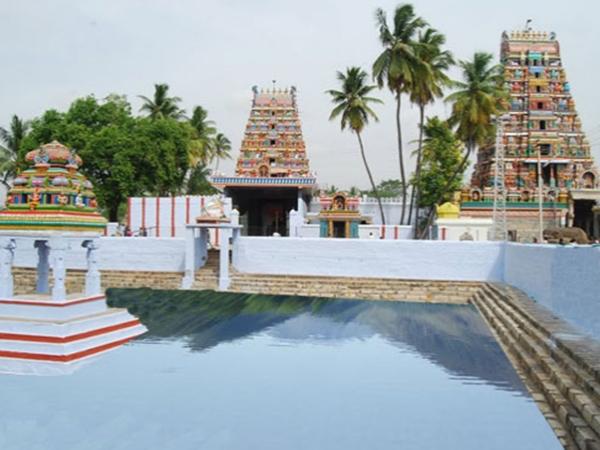 கோவை - அவினாசி