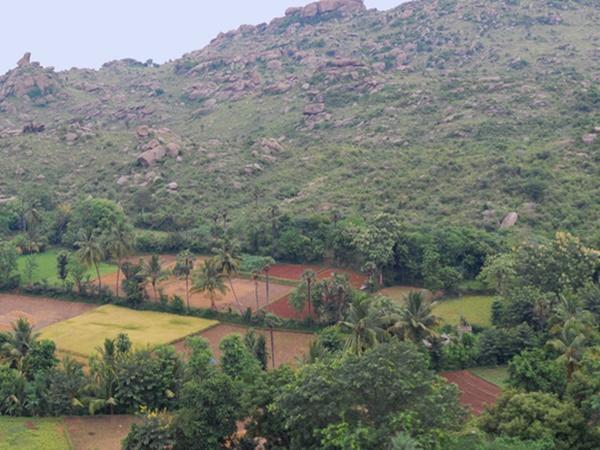 எங்குள்ளது