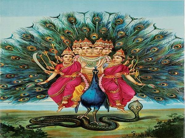 துன்புற்ற நாகமும், சுப்பிரமணியரும்
