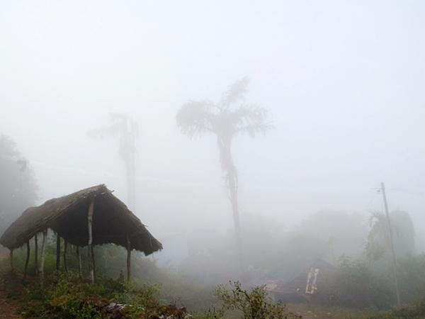 மனதைத் தளுவும் மூடுபனி