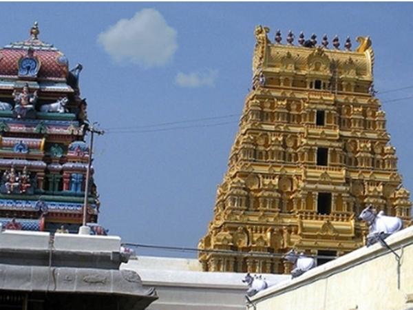 ஒரே உடலில் 1008 லிங்கம்!