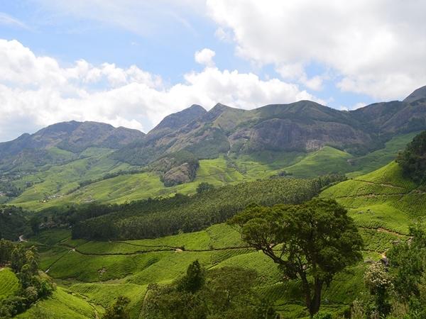 திரிசூர் - தலக்காடு