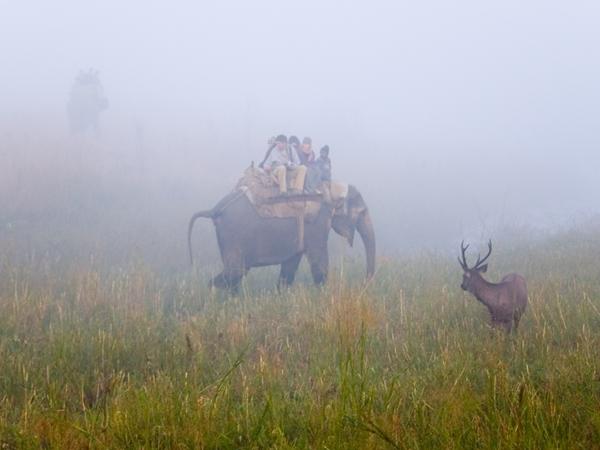கார்பெட் தேசிய பூங்கா