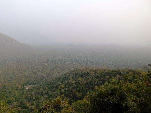 வீரப்பனும், சத்தியமங்கலமும்
