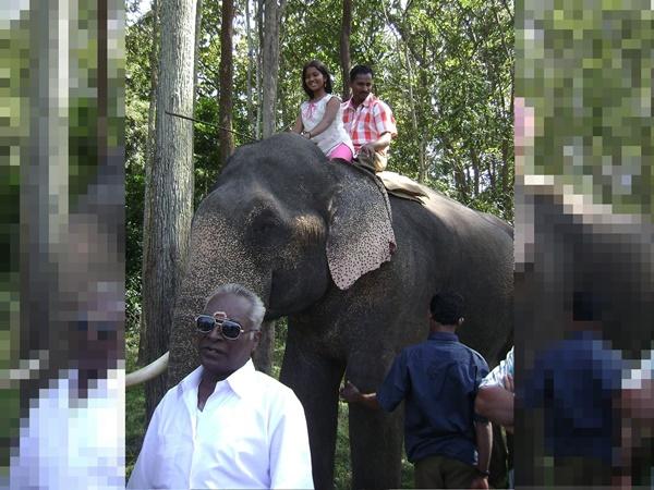 டாப் ஸ்லிப்
