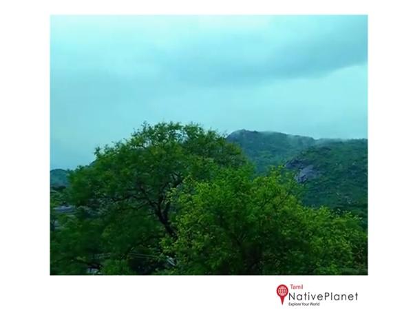 பாலமதி பற்றிய பத்து தகவல்கள்