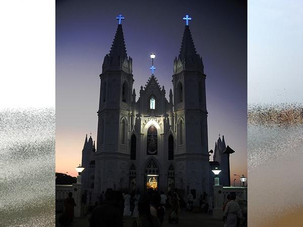 வழிகாட்டிய மேரி அன்னை