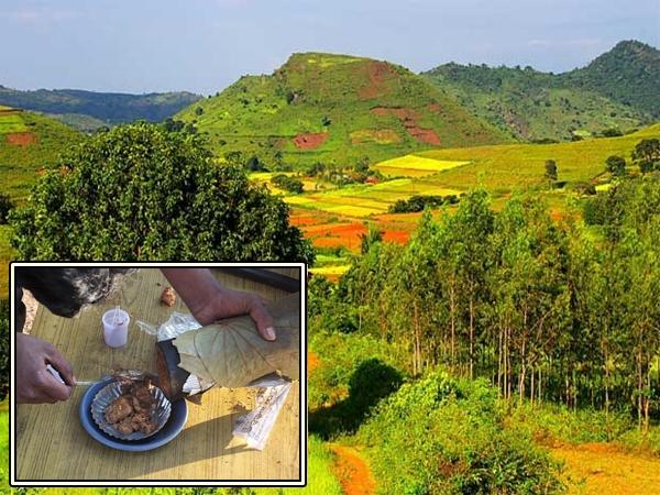 ஆந்திரா மூங்கில் பிரியாணி