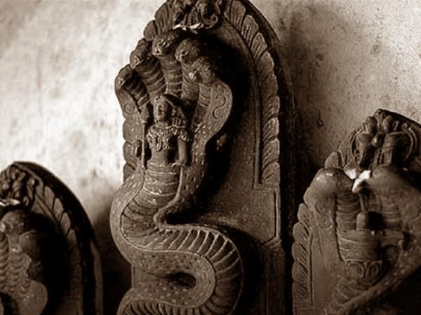 சர்ப்பதோஷ ஹோமம்