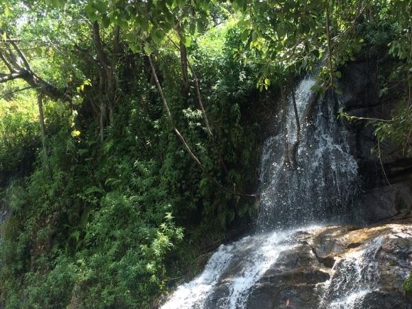 கோரையாறு அருவி