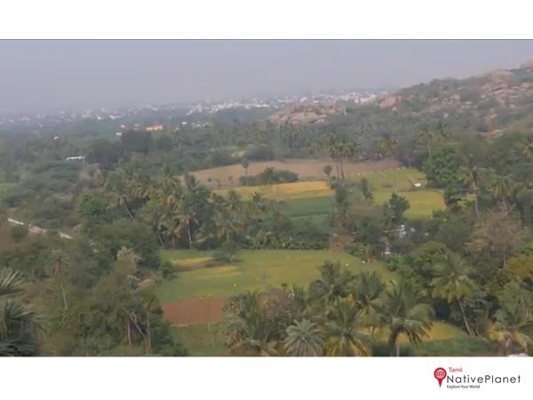 போக்குவரத்து தொடர்பான தகவல்கள்