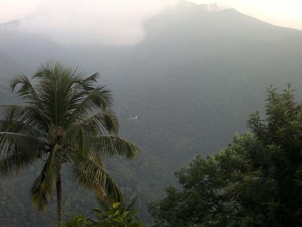 குட்டிகண்ணம் - முண்டகாயம்