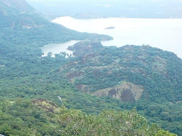 மருதாநதி அணை